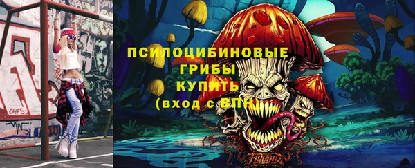 мдпв Майский