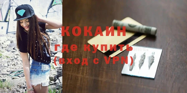 тгк Шали