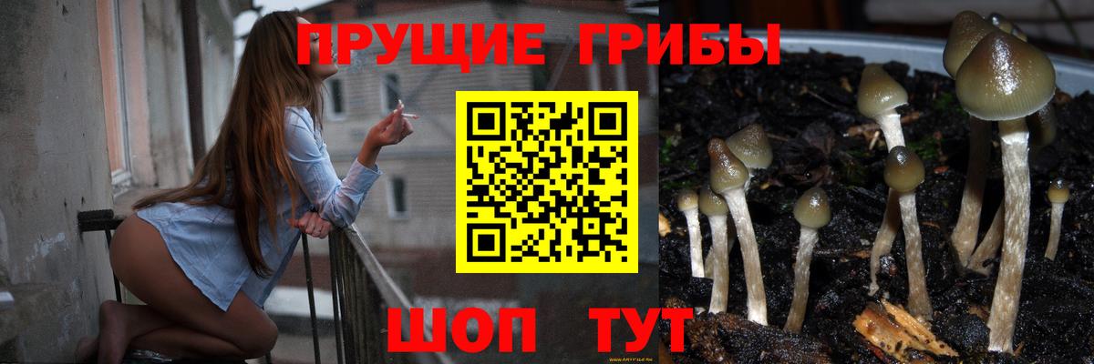Рыбинск  Псилоцибиновые грибы MAGIC MUSHROOMS  Вход с VPN 